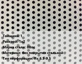Лист перфорированный 1 1х2 Марка: 08пс без покрытия стальной Rv 6.5-9.5